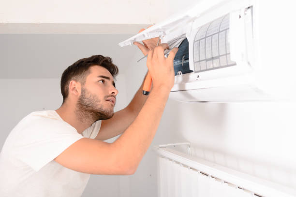 Best Air Duct Mold Removal  in Saltville, VA